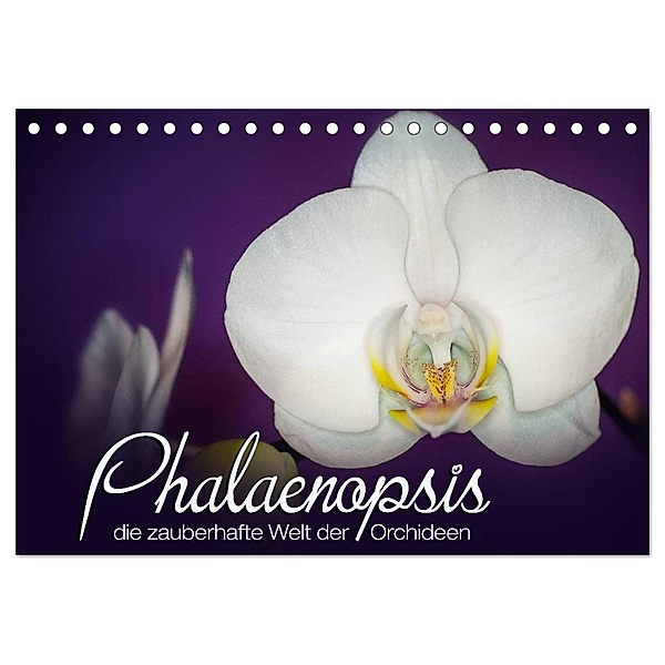 Phalaenopsis - die zauberhafte Welt der Orchideen (Tischkalender 2024 DIN A5 quer), CALVENDO Monatskalender, Deborah Strehl
