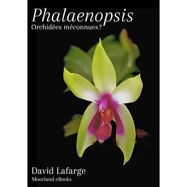 Phalaenopsis, Orchidees meconnues?, David Lafarge