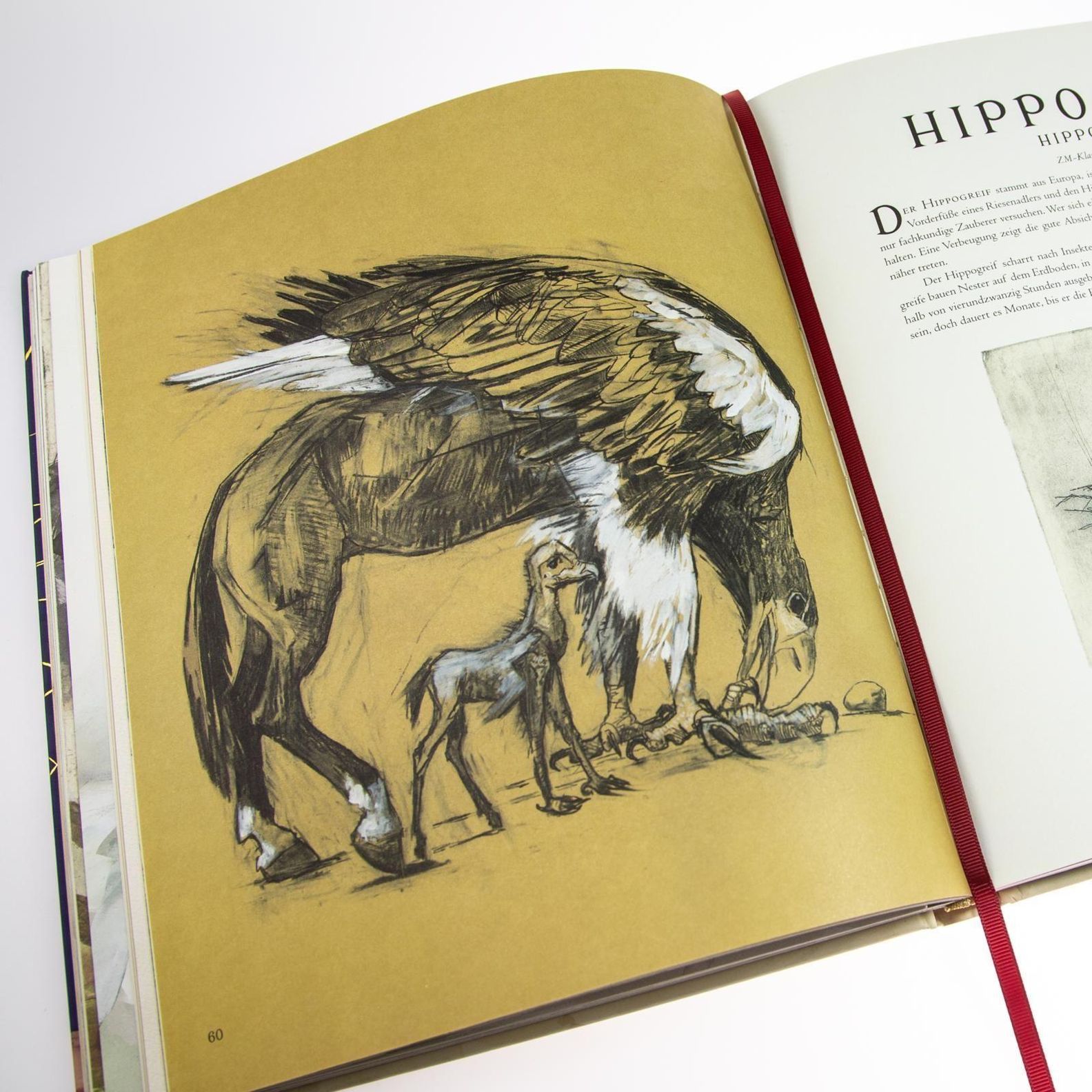 Phantastische Tierwesen und wo sie zu finden sind farbig illustrierte  Schmuckausgabe Buch
