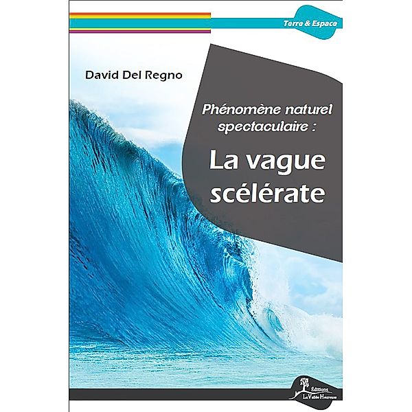 Phénomène naturel spectaculaire: la vague scélérate, David Del Regno