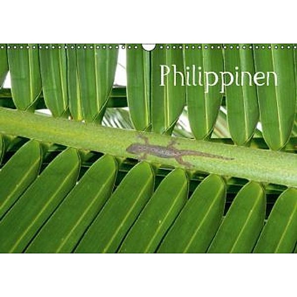 Philippinen (Wandkalender 2016 DIN A3 quer), Hoschisan