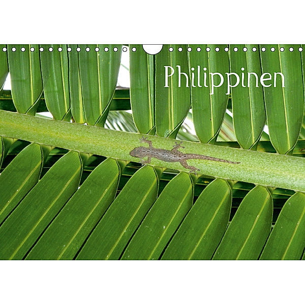 Philippinen (Wandkalender 2019 DIN A4 quer), Hoschisan