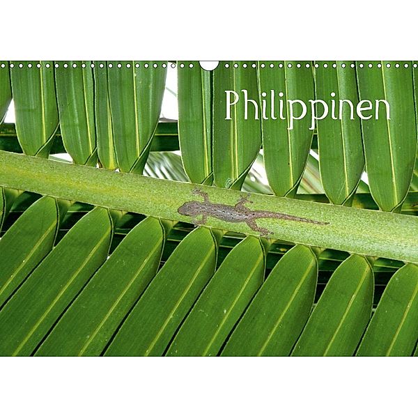 Philippinen (Wandkalender 2021 DIN A3 quer), Hoschisan