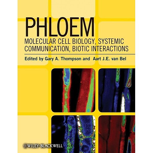 Phloem, Gary A. Thompson, Aart J. E. van Bel