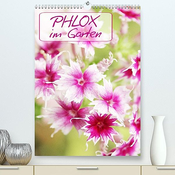 Phlox im Garten (Premium, hochwertiger DIN A2 Wandkalender 2023, Kunstdruck in Hochglanz), Gisela Kruse