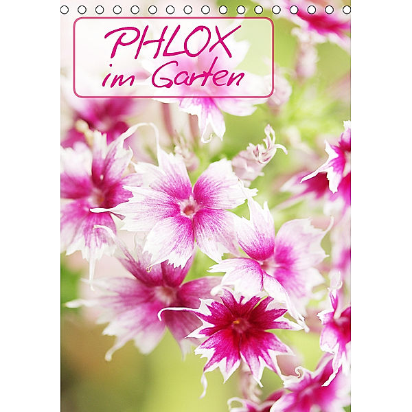 Phlox im Garten (Tischkalender 2019 DIN A5 hoch), Gisela Kruse