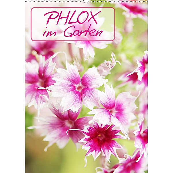 Phlox im Garten (Wandkalender 2019 DIN A2 hoch), Gisela Kruse