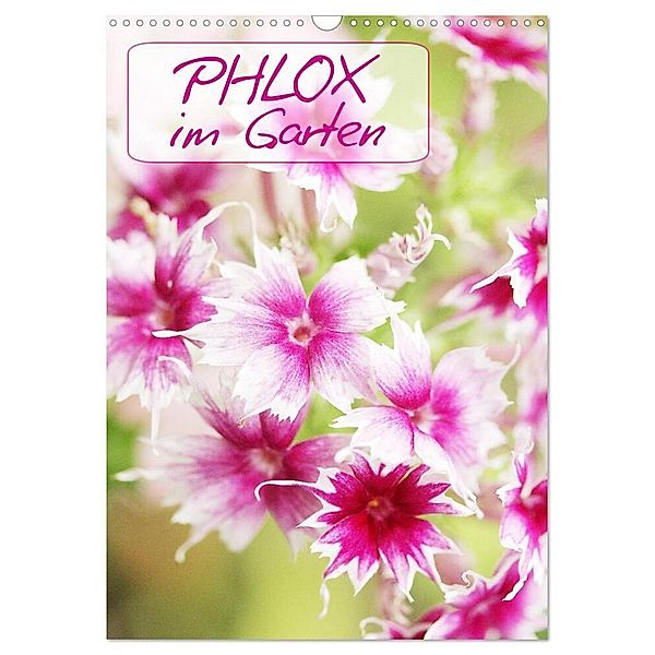 Phlox im Garten (Wandkalender 2024 DIN A3 hoch), CALVENDO Monatskalender, Gisela Kruse