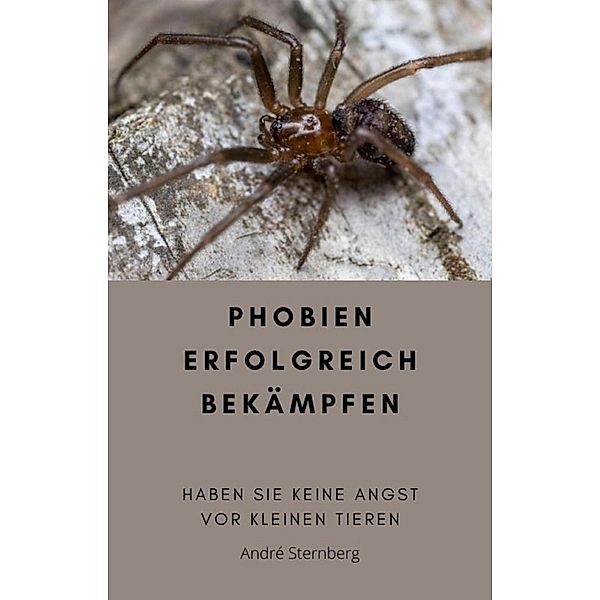 Phobien erfolgreich bekämpfen, Andre Sternberg