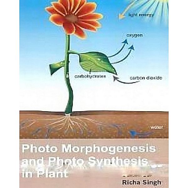 Photo Morphogenesis And Photo Synthesis In Plant, Richa Singh