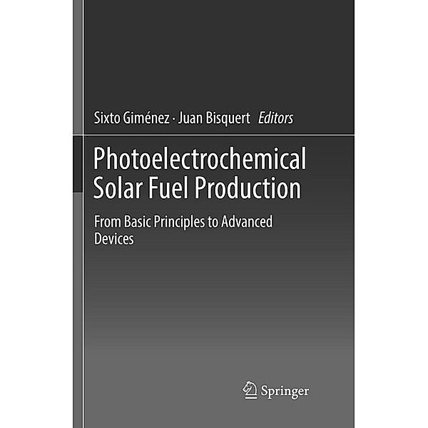 Photoelectrochemical Solar Fuel Production