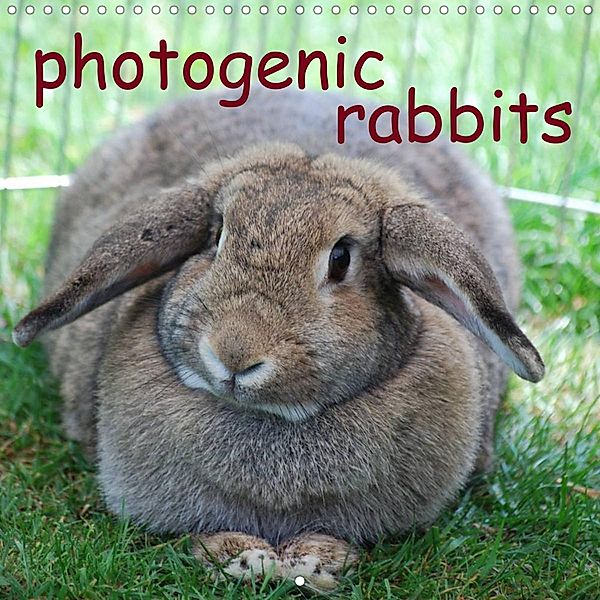 photogenic rabbits (Wall Calendar 2022 300 × 300 mm Square), Miriam Kaina