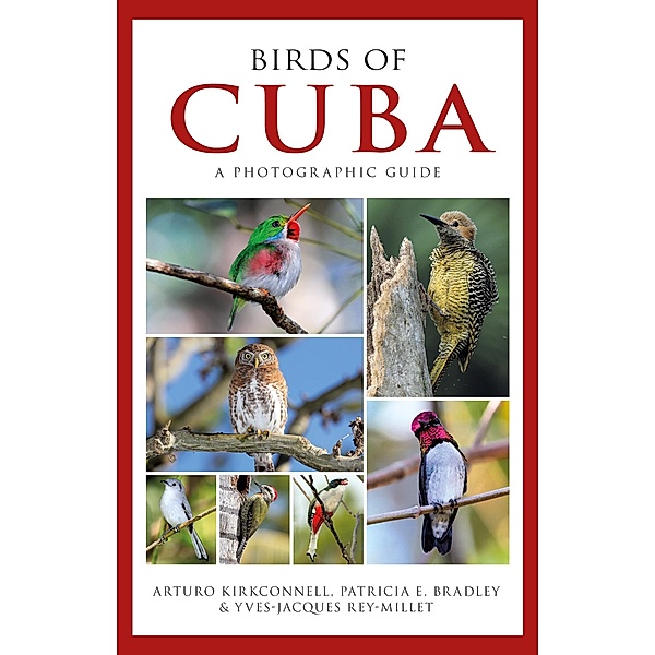 Photographic Guide to the Birds of Cuba, Arturo Kirkconnell, Patricia E. Bradley, Yves-Jacques Rey-Millet