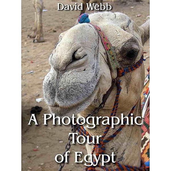 Photographic Tour of Egypt / David Webb, David Webb