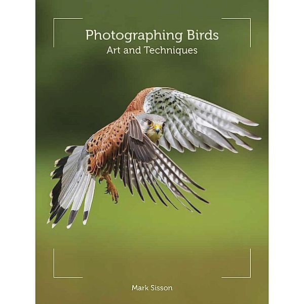 Photographing Birds, Mark Sisson