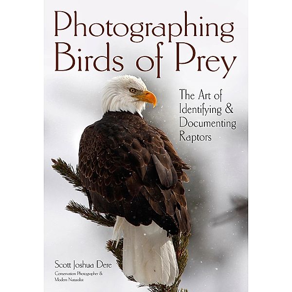 Photographing Birds of Prey, Scott Joshua Dere