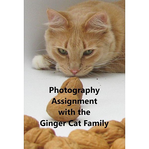 Photography Assignment With the Ginger Cat Family / Ginger Cat Family, Pamela jean Curry