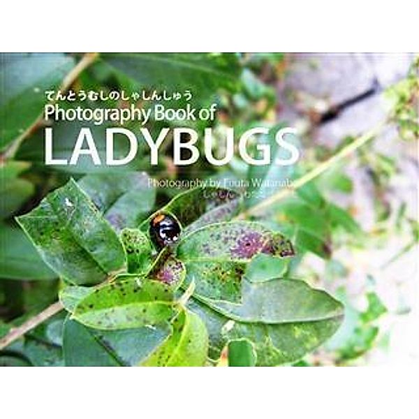 Photography Book of Ladybugs(2012) Shinkai Fuuta, Japan, Shinkai Fuuta