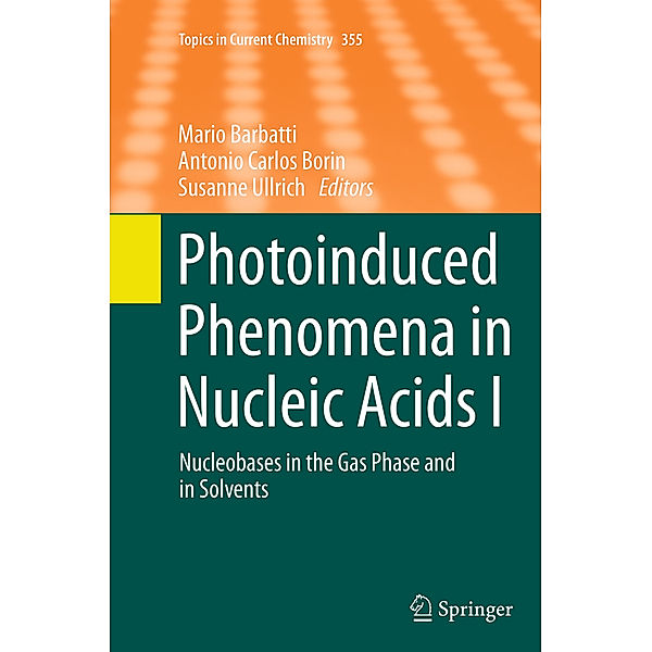 Photoinduced Phenomena in Nucleic Acids I