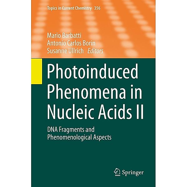 Photoinduced Phenomena in Nucleic Acids II / Topics in Current Chemistry Bd.356