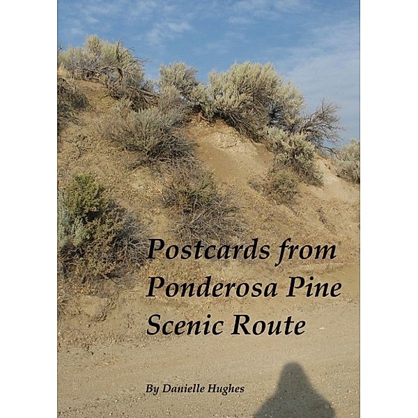 Photos of Idaho: Postcards from Ponderosa Pine Scenic Route, Danielle Hughes