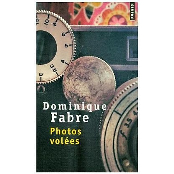 Photos volées, Dominique Fabre