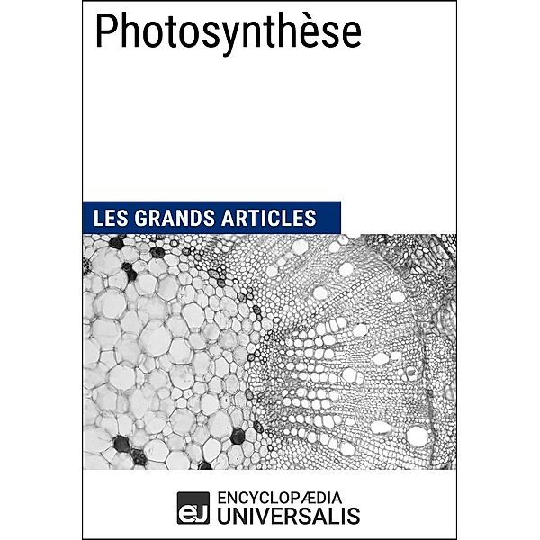 Photosynthèse, Encyclopaedia Universalis