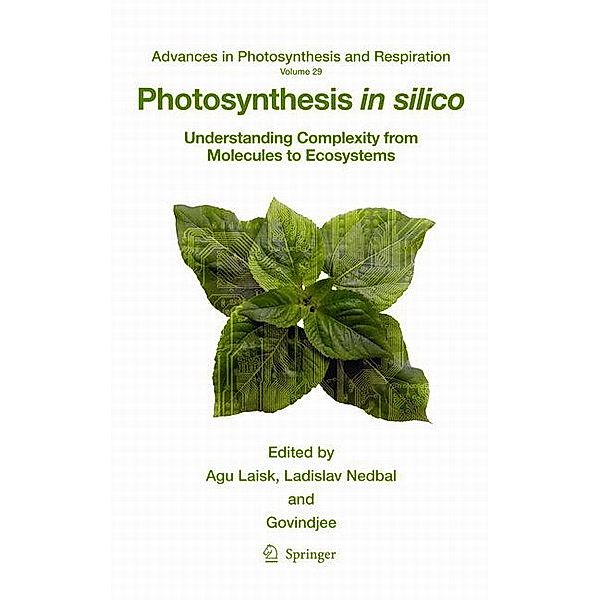 Photosynthesis in Silico