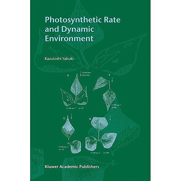 Photosynthetic Rate and Dynamic Environment, Kazutoshi Yabuki