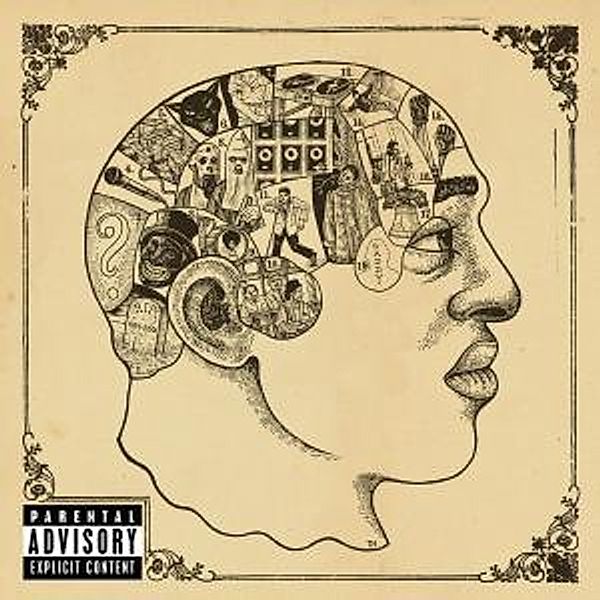 Phrenology, The Roots