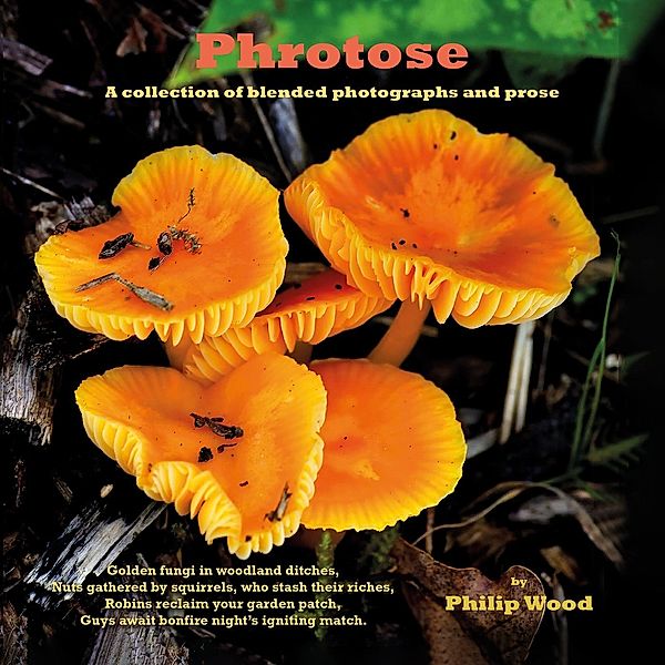 Phrotose / Austin Macauley Publishers, Philip Wood