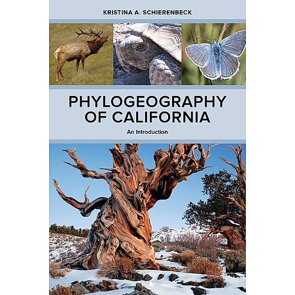 Phylogeography of California, Kristina A. Schierenbeck