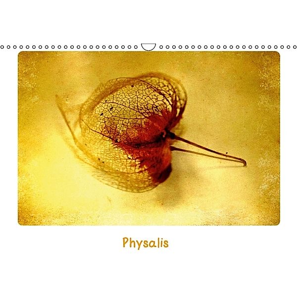Physalis (Wandkalender 2014 DIN A3 quer), Anne Seltmann