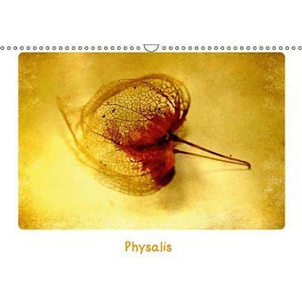 Physalis (Wandkalender 2015 DIN A3 quer), Anne Seltmann