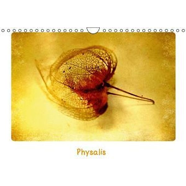Physalis (Wandkalender 2015 DIN A4 quer), Anne Seltmann