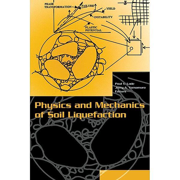 Physics and Mechanics of Soil Liquefaction