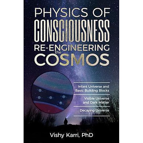 Physics of Consciousness Re-Engineering the Cosmos / Expert365 Pty Ltd, Vishy Karri