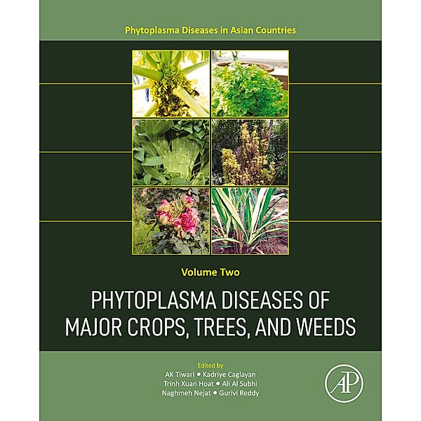 Phytoplasma Diseases of Major Crops, Trees, and Weeds