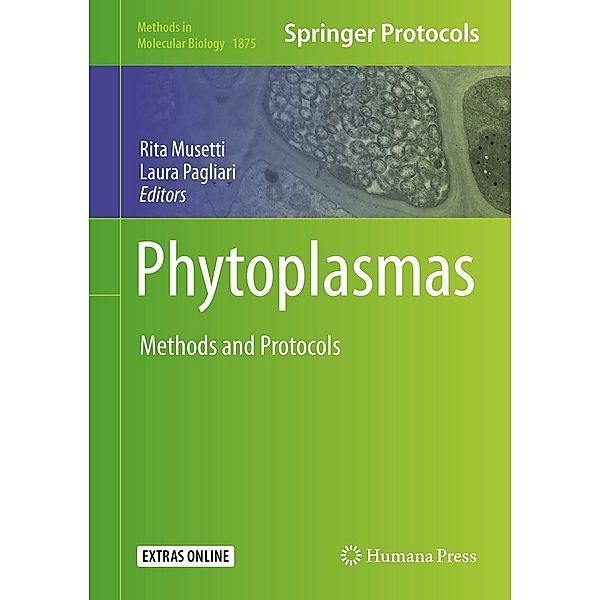 Phytoplasmas / Methods in Molecular Biology Bd.1875