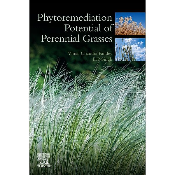 Phytoremediation Potential of Perennial Grasses, Vimal Chandra Pandey, D. P. Singh