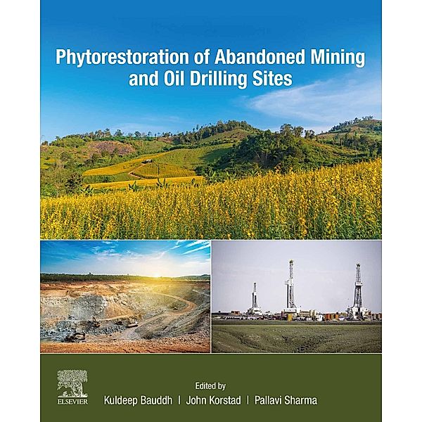 Phytorestoration of Abandoned Mining and Oil Drilling Sites