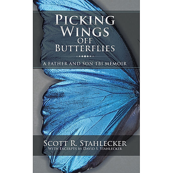 Picking Wings off Butterflies, Scott R. Stahlecker