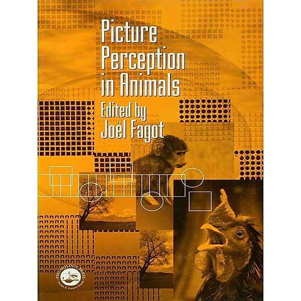 Picture Perception in Animals
