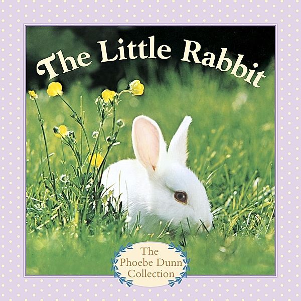Pictureback(R): The Little Rabbit, Judy Dunn