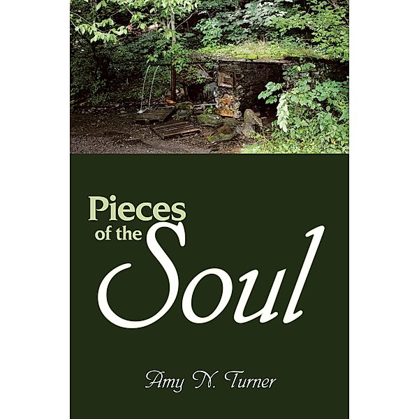 Pieces of the Soul, Amy N. Turner