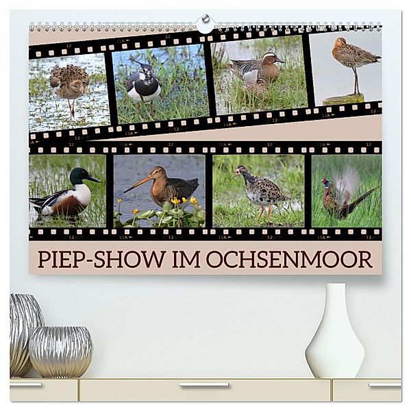 PIEP-SHOW im Ochsenmoor (hochwertiger Premium Wandkalender 2025 DIN A2 quer), Kunstdruck in Hochglanz, Calvendo, Diane Jordan