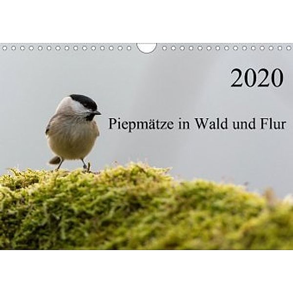 Piepmätze in Wald und Flur (Wandkalender 2020 DIN A4 quer), Thomas Alberer