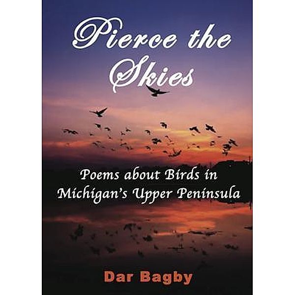 Pierce the Skies / Dar Bagby, Dar Bagby