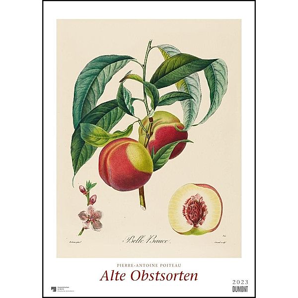 Pierre Antoine Poiteau: Alte Obstsorten 2023 - DUMONT Kunst-Kalender - Poster-Format 50 x 70 cm