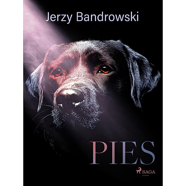 Pies, Jerzy Bandrowski